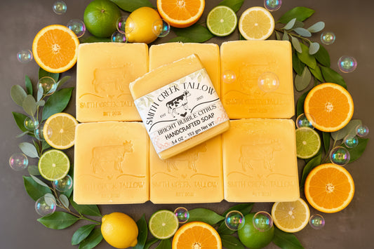 BRIGHT BUBBLE CITRUS Handcrafted Soap