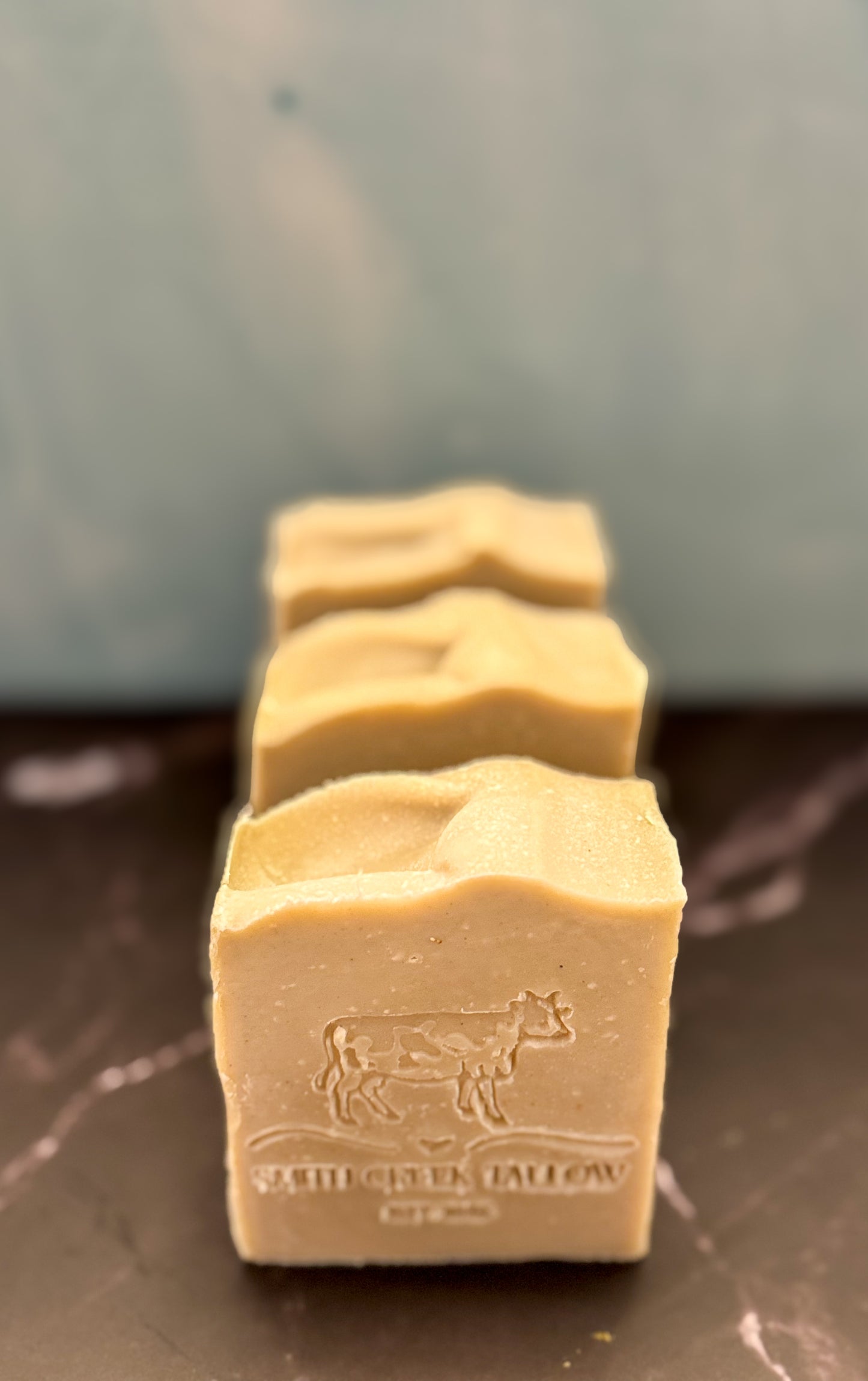 EUCALYPTUS DREAMS Bar Soap