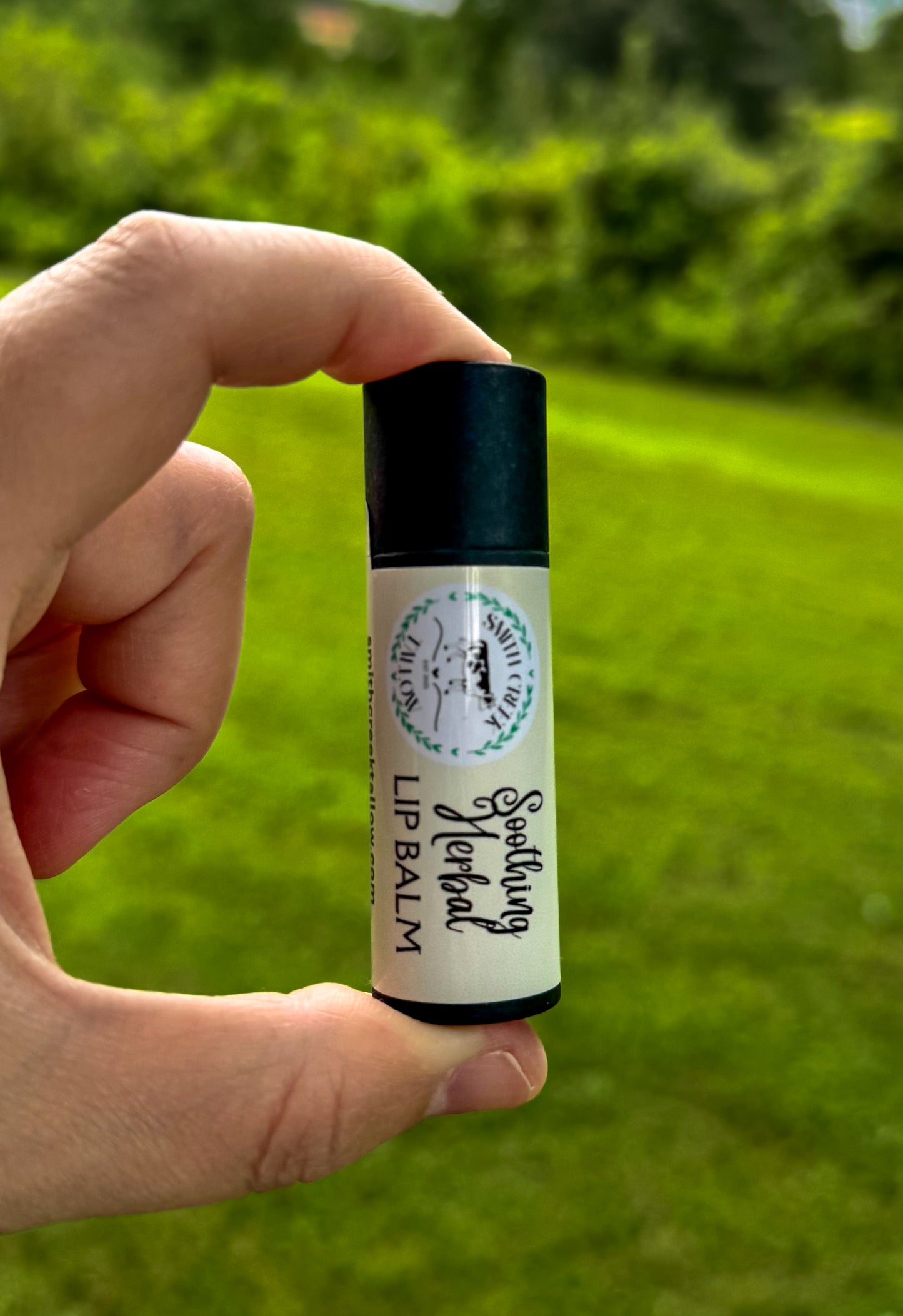 JUMBO Tallow Lip Balms